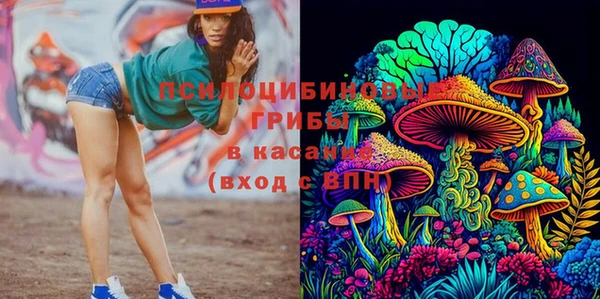 дурь Горно-Алтайск