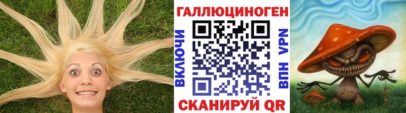 где можно купить наркотик  Шагонар  Галлюциногенные грибы MAGIC MUSHROOMS 