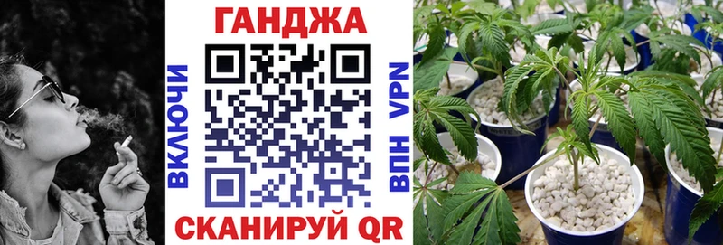 где найти наркотики  Шагонар  Канабис SATIVA & INDICA 